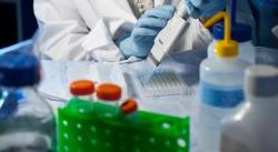 Closeup of student using pipettes in lab